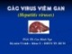 Bài giảng Vi sinh: Các virus viêm gan - PGS.TS. Cao Minh Nga