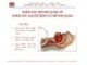 Bài giảng Điều dưỡng hồi sức cấp cứu: Chương 8b - ThS. BS. Nguyễn Phúc Học